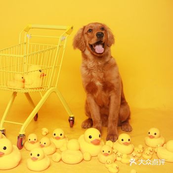 第一次见面，就亲热的甩了我一身的口水，托它的福