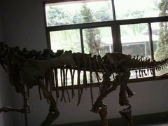 -自贡恐龙博物馆