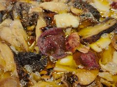 -杨记山珍鸡煲菌汤锅