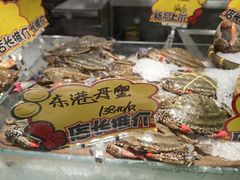 -渔娘渔家丹东海鲜(东直门店)