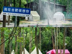 -合肥滨湖国家森林公园