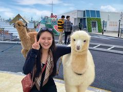 -Blue Concept Cafe&Farm·關於藍