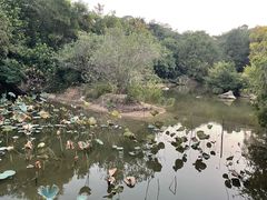 -厦门悦华酒店