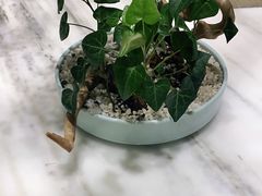 -御仙都北京菜馆·烤鸭店(双井店)