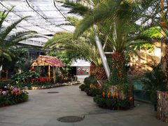 -北京植物园-展览温室