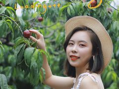 -玫瑰庄园·自助烧烤·烤全羊·团建拓展(龙泉山店)