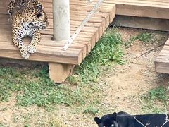 -石家庄市动物园