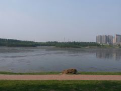 -丁香湖公园