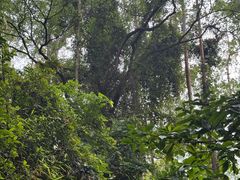 -水濂山森林公园