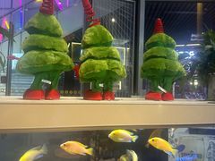 -黄鱼炙夜·烧烤·小龙虾(星荟广场店)