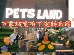 -石家庄万象城