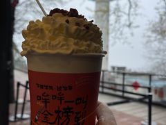 -茶颜悦色(岳麓山顶店)