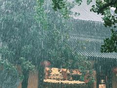 -龙华寺