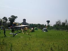 -上海长兴岛郊野公园