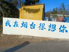 -养马岛旅游度假区
