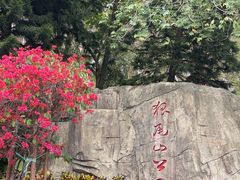-狐尾山公园