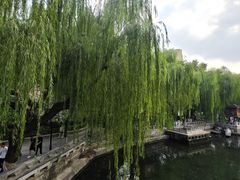 -环城公园