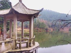 -四明山国家森林公园