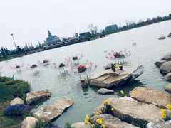 -荷兰花海