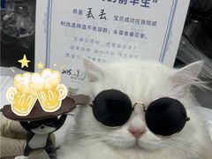 -芭比堂动物医院·心脏科·老年急重症·夜诊·吉雅分院