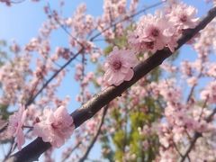 -太子山公园(园东路)