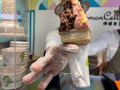 -柠檬车露(卖草地店)