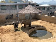 -西霞口神雕山野生动物世界