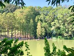 -深圳仙湖植物园