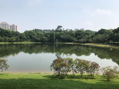-东莞植物园