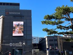 -新世界百货(明洞总店)