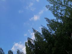 -东平国家森林公园