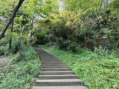 -青城山
