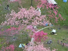 -风云岭森林公园