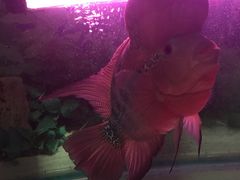 -青水瓦台(新村店)