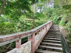 -火炉山森林公园