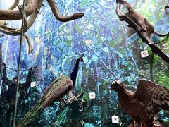 -国家自然博物馆