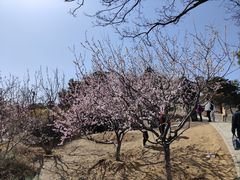 -北京西山国家森林公园