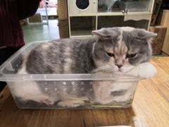 -藦茜花园宠物主题亲子互动体验馆(国顺东路店)