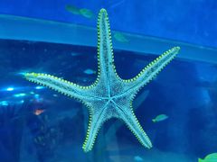 -成都浩海立方海洋公园