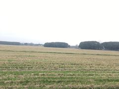 -嘉北郊野公园