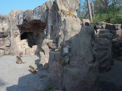 -广州市流溪河国家森林公园