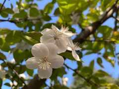 -白塘生态植物园