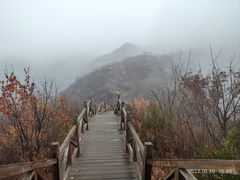 -大岭沟猕猴桃谷风景区