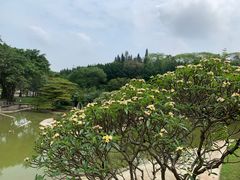 -广州雕塑公园
