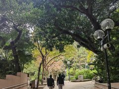 -九龙公园