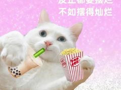 -朵朵开素食餐厅(后宰门街店)