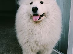 -北平小院设计酒店