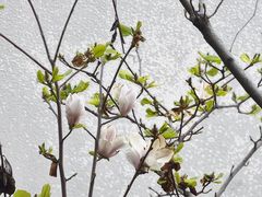 -乌山风景区