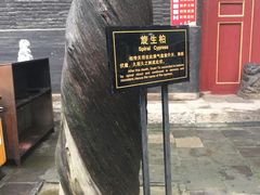 -关林