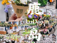 -鹿岛生活(熙地港店)